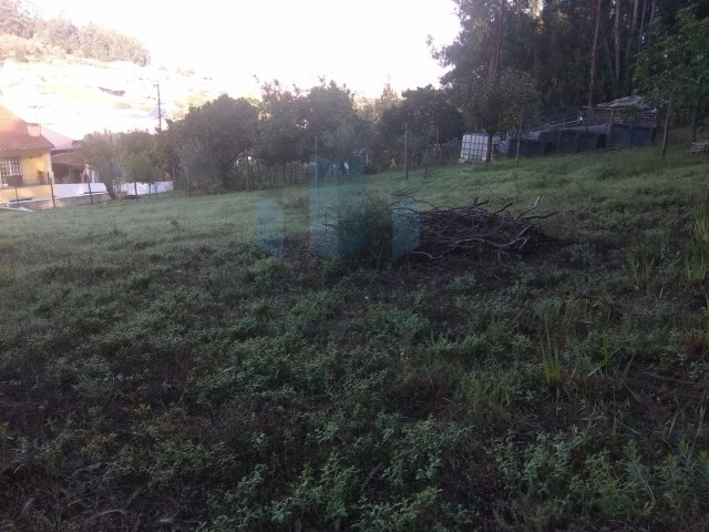 Terreno Rústico - São Martinho do Bispo, Coimbra, Coimbra - Imagem grande