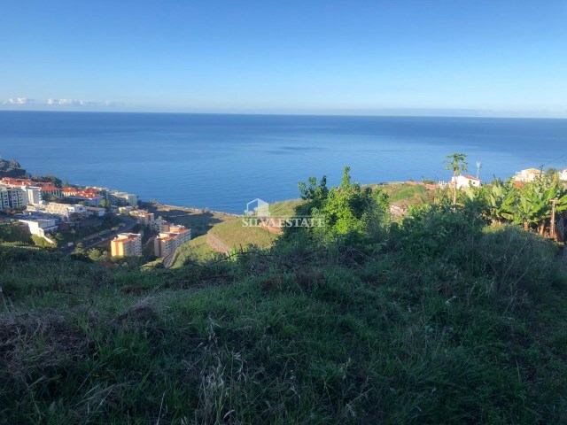 Terreno Rstico - So Martinho, Funchal, Ilha da Madeira - Imagem grande