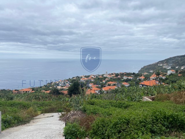 Terreno R�stico - Arco da Calheta, Calheta (Madeira), Ilha da Madeira - Imagem grande