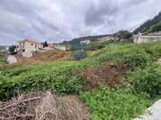 Terreno R�stico - Arco da Calheta, Calheta (Madeira), Ilha da Madeira - Miniatura: 9/9