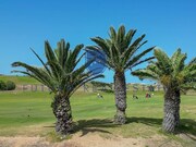 Outros - Porto Santo, Porto Santo, Ilha da Madeira - Miniatura: 3/9