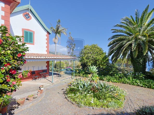 Moradia T4 - Monte, Funchal, Ilha da Madeira - Imagem grande
