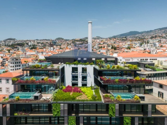 Apartamento T2 - S�, Funchal, Ilha da Madeira - Imagem grande