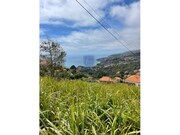 Terreno Rstico - Ribeira Brava, Ribeira Brava, Ilha da Madeira - Miniatura: 2/8