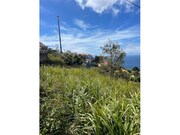 Terreno Rstico - Ribeira Brava, Ribeira Brava, Ilha da Madeira - Miniatura: 3/8