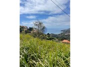 Terreno Rstico - Ribeira Brava, Ribeira Brava, Ilha da Madeira - Miniatura: 4/8