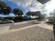Com�rcio - S�o Martinho, Funchal, Ilha da Madeira - Miniatura: 7/9