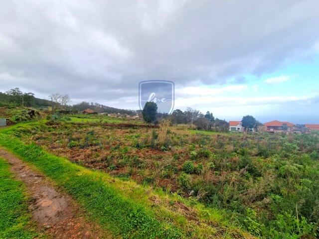 Terreno R�stico - Porto Moniz, Porto Moniz, Ilha da Madeira - Imagem grande