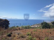 Terreno R�stico - Santa Cruz, Santa Cruz, Ilha da Madeira - Miniatura: 1/7