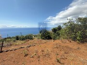 Terreno R�stico - Santa Cruz, Santa Cruz, Ilha da Madeira - Miniatura: 3/7