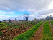 Terreno R�stico - Porto Moniz, Porto Moniz, Ilha da Madeira - Miniatura: 4/9
