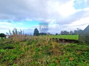 Terreno R�stico - Porto Moniz, Porto Moniz, Ilha da Madeira - Miniatura: 6/9