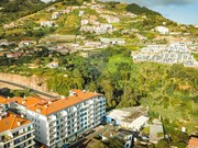 Comércio Não Definido - Caniço, Santa Cruz, Ilha da Madeira - Miniatura: 6/9