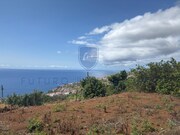 Terreno R�stico - Santa Cruz, Santa Cruz, Ilha da Madeira - Miniatura: 9/9
