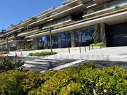 Com�rcio - S�o Martinho, Funchal, Ilha da Madeira - Miniatura: 9/9