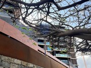 Loja - So Martinho, Funchal, Ilha da Madeira - Miniatura: 8/9