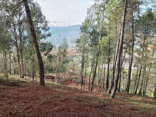 Terreno Rstico - Vale, Arcos de Valdevez, Viana do Castelo - Imagem grande