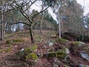Terreno Rstico - Vale, Arcos de Valdevez, Viana do Castelo - Miniatura: 4/6