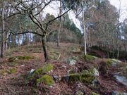 Terreno Rstico - Vale, Arcos de Valdevez, Viana do Castelo - Miniatura: 4/5