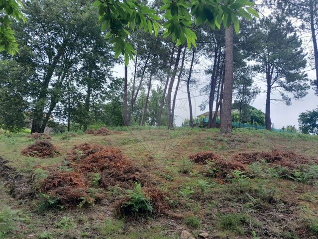 Terreno Rstico - Couto, Arcos de Valdevez, Viana do Castelo - Imagem grande