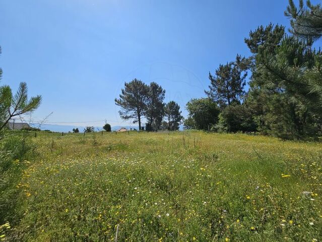 Terreno Rstico - Monte Redondo, Arcos de Valdevez, Viana do Castelo - Imagem grande