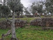 Terreno Rstico - Ninho do Aor, Castelo Branco, Castelo Branco - Miniatura: 2/3