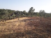 Terreno Rstico - Benquerenas, Castelo Branco, Castelo Branco - Miniatura: 6/9