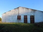 Terreno Rstico - Pvoa de Rio de Moinhos, Castelo Branco, Castelo Branco - Miniatura: 3/9