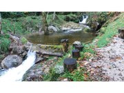 Quinta T2 - Seia, Seia, Guarda - Miniatura: 8/9