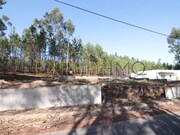 Terreno Rstico - Matas, Ourm, Santarm - Miniatura: 1/4