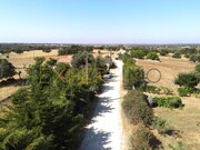 Quinta T1 - Redondo, Redondo, vora - Miniatura: 2/9