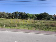 Terreno Urbano - Sangalhos, Anadia, Aveiro - Miniatura: 2/9