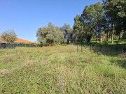 Terreno Urbano - Sangalhos, Anadia, Aveiro - Miniatura: 6/9