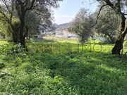 Terreno Urbano - Sangalhos, Anadia, Aveiro - Miniatura: 7/9