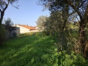 Terreno Urbano - Sangalhos, Anadia, Aveiro - Miniatura: 9/9
