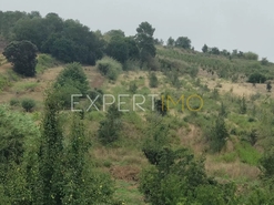 Terreno R�stico - N�o Definido, N�o Definido, N�o Definido - Miniatura: 6/17