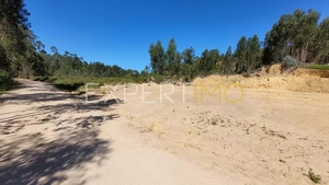 Terreno R�stico - N�o Definido, N�o Definido, N�o Definido - Miniatura: 4/5