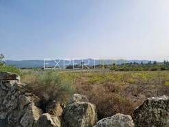 Terreno R�stico - N�o Definido, N�o Definido, N�o Definido - Miniatura: 2/8