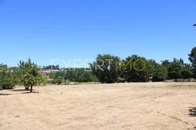 Terreno R�stico - N�o Definido, N�o Definido, N�o Definido - Miniatura: 7/10