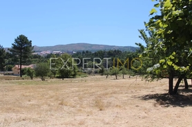 Terreno R�stico - N�o Definido, N�o Definido, N�o Definido - Miniatura: 10/10