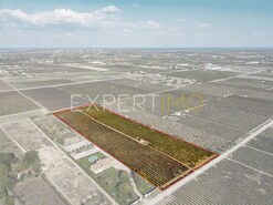 Terreno R�stico - Palmela, Palmela, Set�bal - Miniatura: 4/12