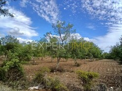 Moradia T3 - S�o Br�s de Alportel, S�o Br�s de Alportel, Faro (Algarve) - Miniatura: 21/29