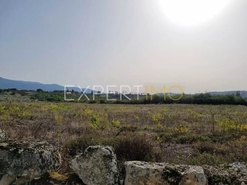 Terreno R�stico - N�o Definido, N�o Definido, N�o Definido - Miniatura: 4/8