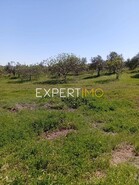 Terreno R�stico - Vila Nova de S�o Bento, Serpa, Beja - Miniatura: 28/29