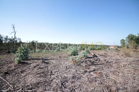 Terreno R�stico - Marrazes, Leiria, Leiria - Miniatura: 2/4