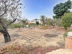 Terreno R�stico - Portim�o, Portim�o, Faro (Algarve) - Miniatura: 26/29