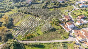 Terreno R�stico - Almalagu�s, Coimbra, Coimbra - Miniatura: 3/11