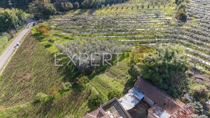 Terreno R�stico - Almalagu�s, Coimbra, Coimbra - Miniatura: 6/11