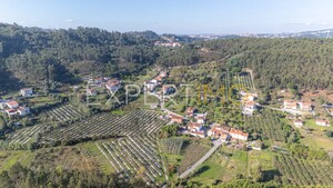 Terreno R�stico - Almalagu�s, Coimbra, Coimbra - Miniatura: 10/11