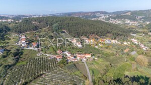 Terreno R�stico - Almalagu�s, Coimbra, Coimbra - Miniatura: 11/11